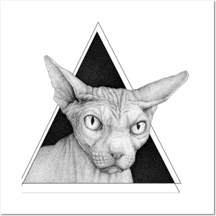 Sphynx Posters and Art